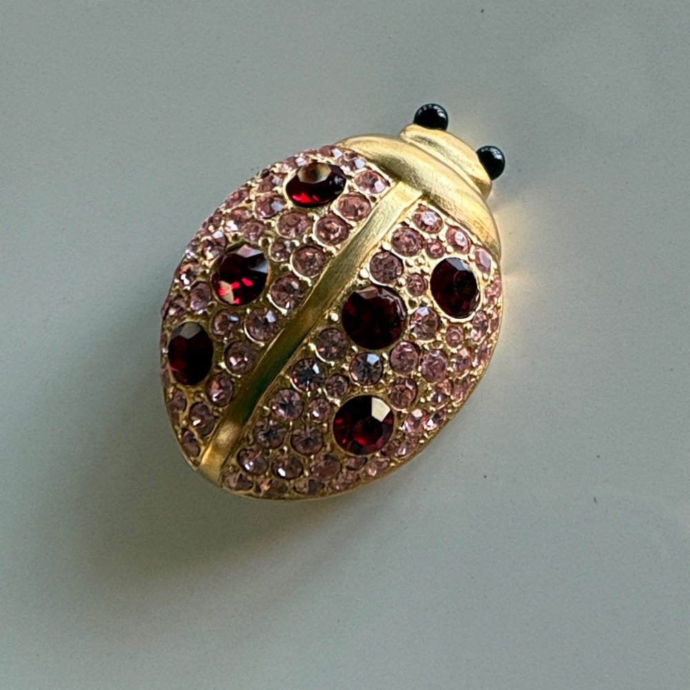 Vintage Givenchy ladybug brooch.